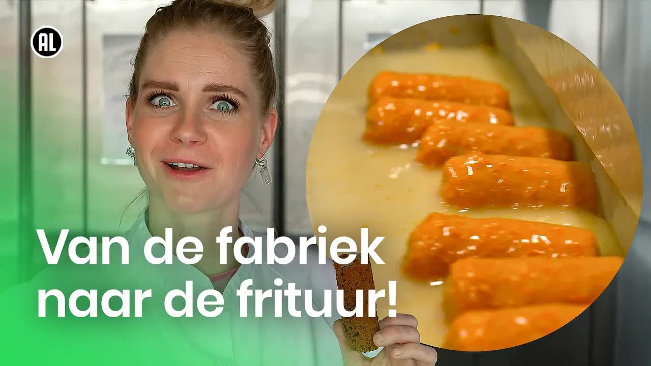 Hoe maak je een kroket? | DZDZ