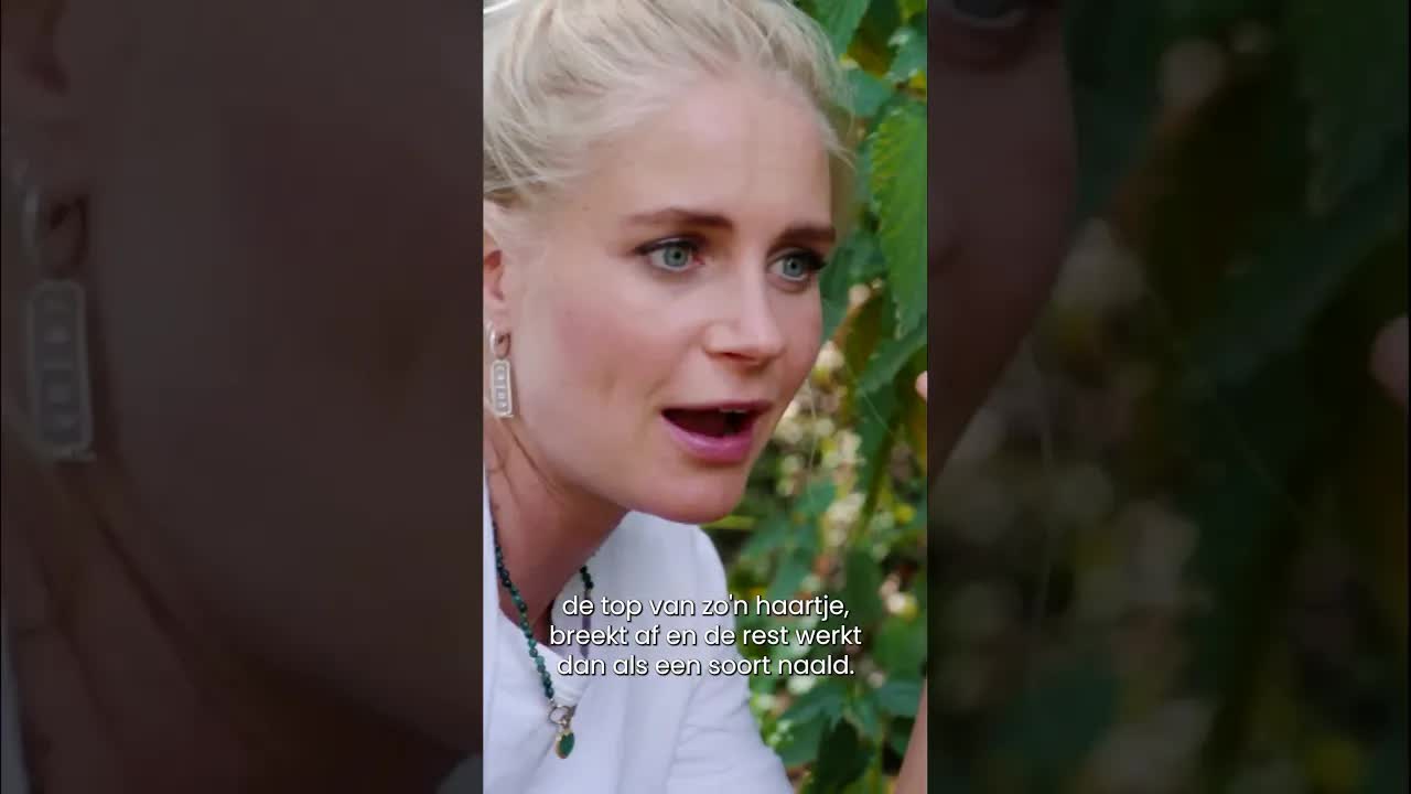 Voor eens en altijd duidelijkheid 🌿 Helpt plas tegen het prikken van een brandnetel.  👀😅