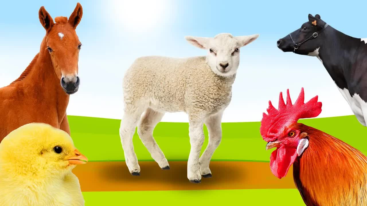 Boerderijdieren leren 🐔🐷 Dierenfilmpje voor peuters - Nederlands 🐴