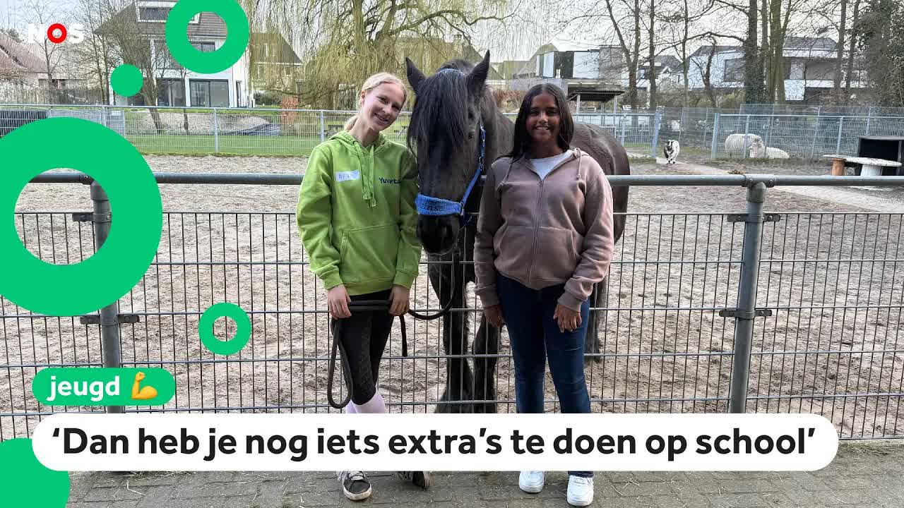 Koken, paarden of extra gym: scholen willen opvallen met extra vakken