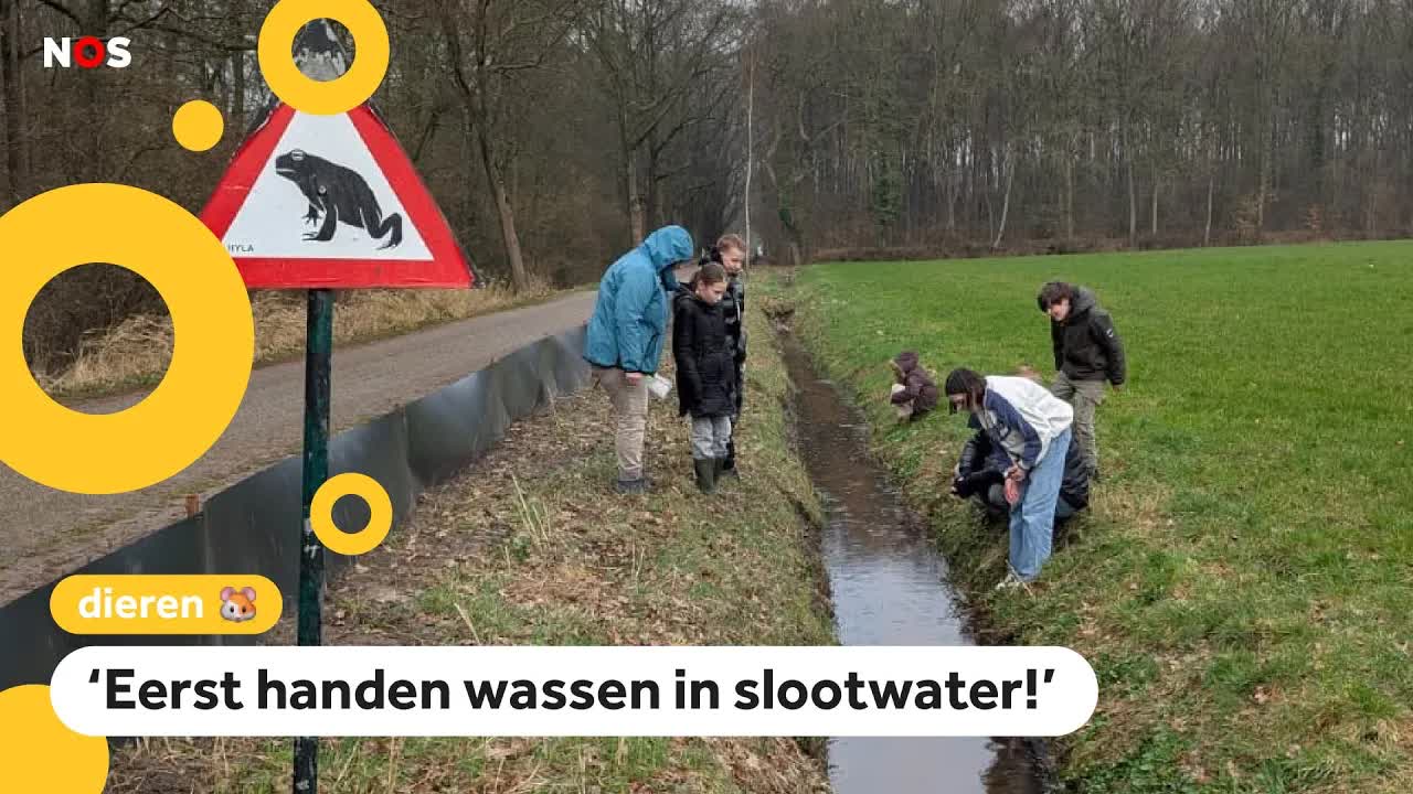 Met z'n allen op pad: kinderen helpen bij de paddentrek