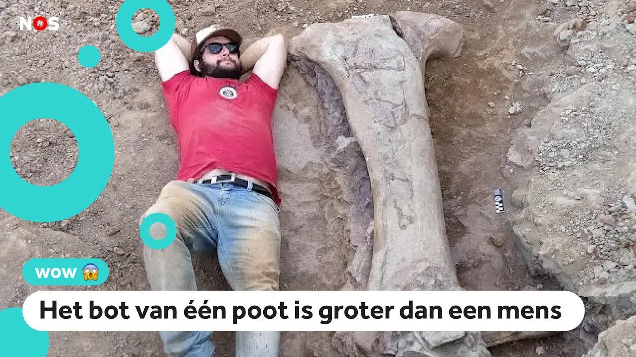 Onderzoekers ontdekken reuzen-dino