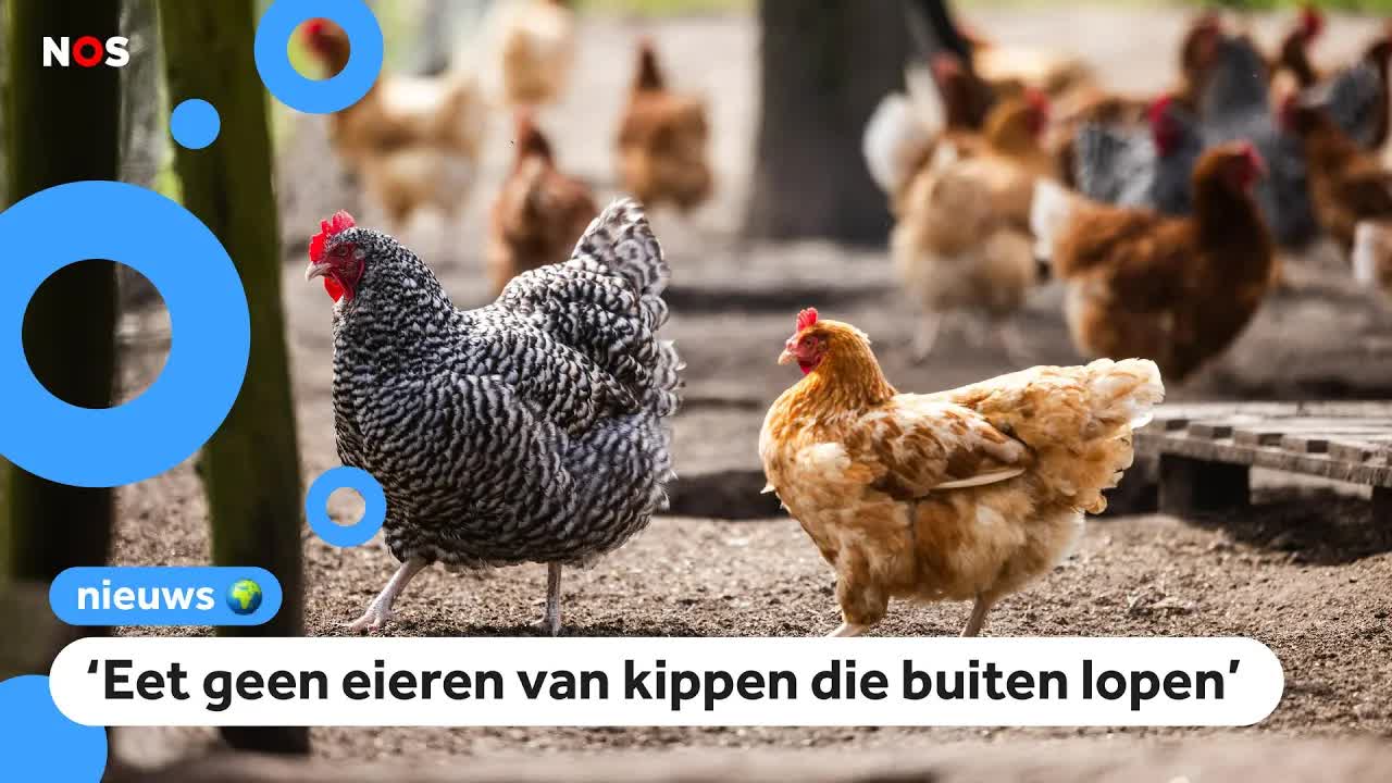 Wormen belangrijkste oorzaak van giftige stoffen in eieren