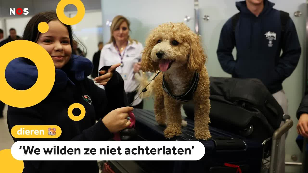 Speciale vlucht voor huisdieren en hun baasjes uit Abu Dhabi