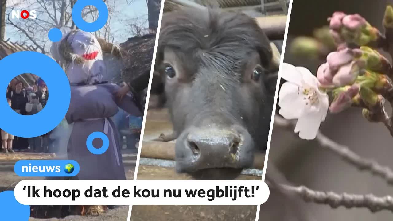 Het is lente! Zo viert de wereld het voorjaar