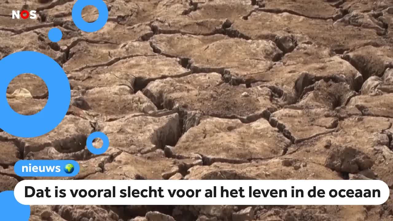 Wetenschappers: aarde houdt meer warmte vast dan ooit