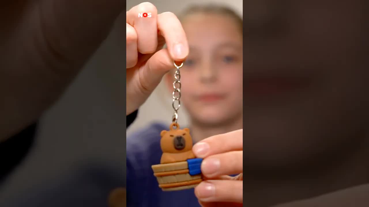 Heb jij weleens spijt van een aankoop? #jeugdjournaal #blindboxes #kopen #verrassing