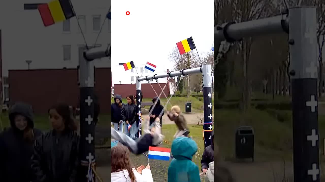 Op deze plek kun je schommelen tussen Nederland en België. #jeugdjournaal #grens #spelen