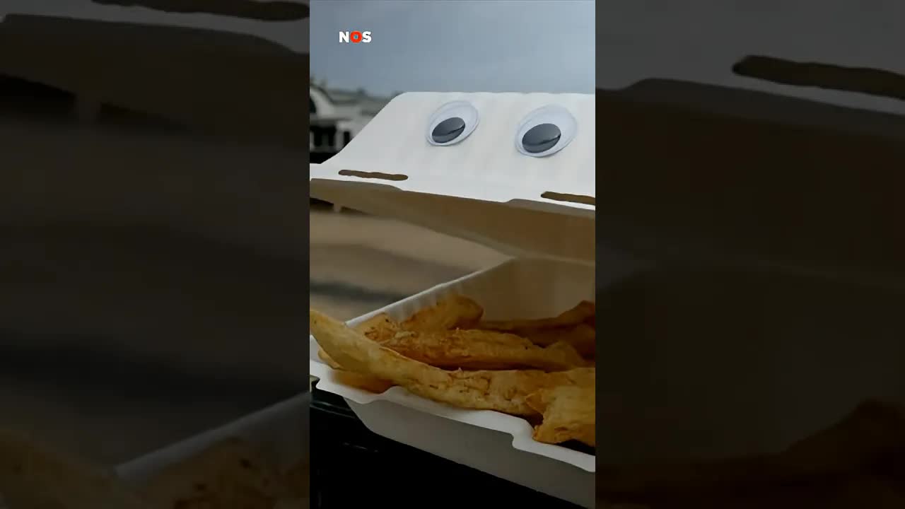 Deze wiebeloogjes houden meeuwen tegen 👀🐦