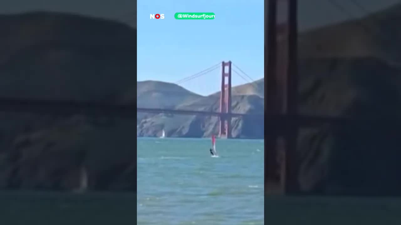 Wow: Surfer botst op walvis