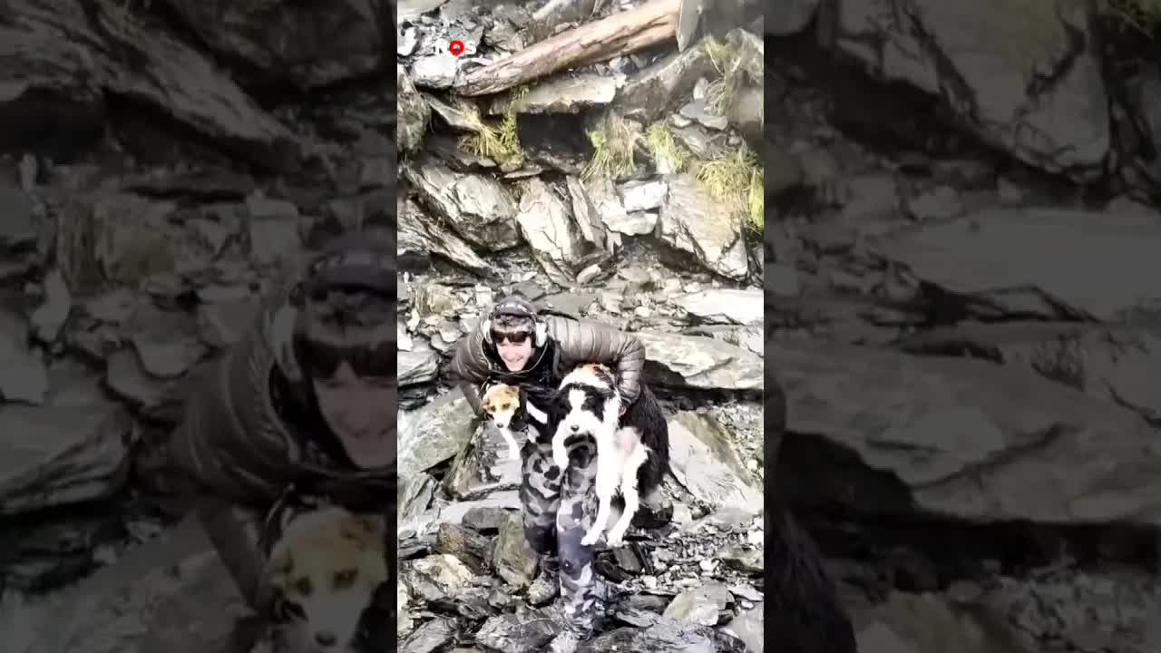 Vermist hondje is na week gered uit de wildernis. #jeugdjournaal #redding #hond #nieuwzeeland