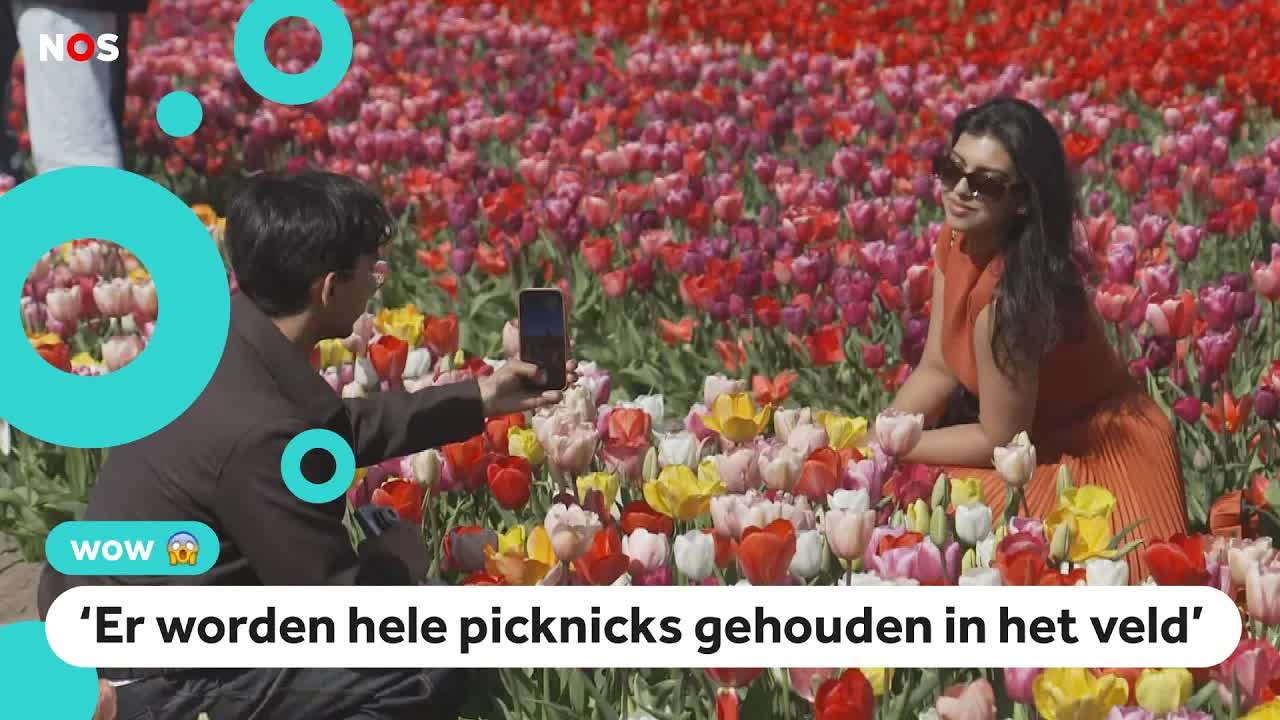 Cheese! Hier mag je wél een foto tussen de tulpen maken