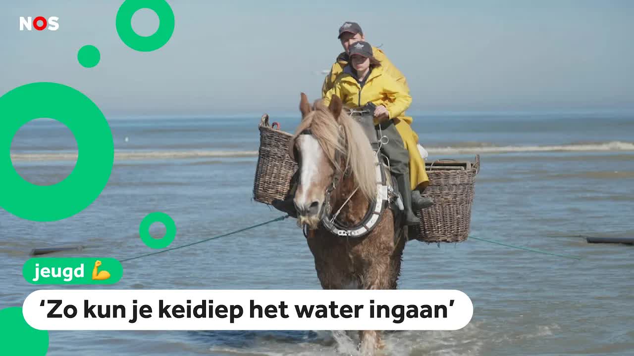 Mauro gaat mee paardenvissen: 'Wordt nergens anders gedaan'