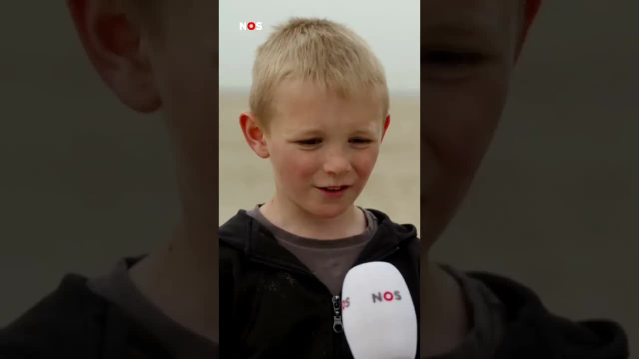Dode potvis aangespoeld op strand bij Renesse