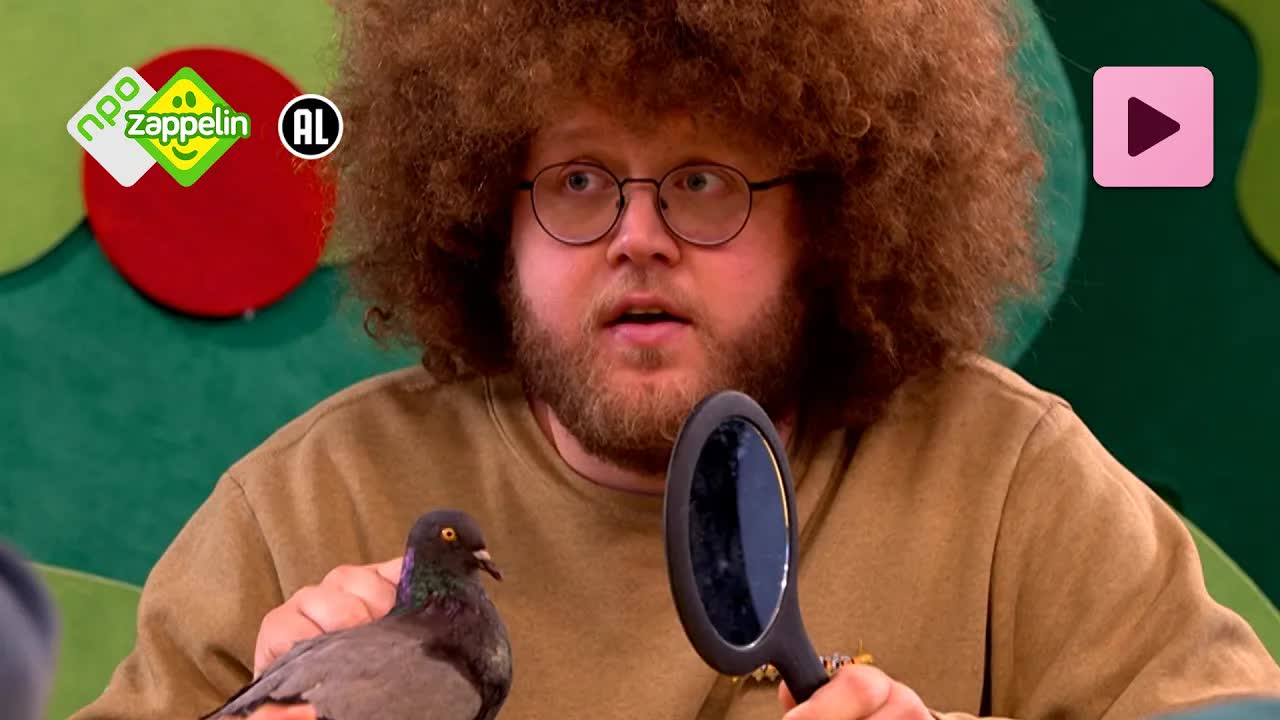 DIEREN 🐤  | Zin in Zappelin | NPO Zappelin