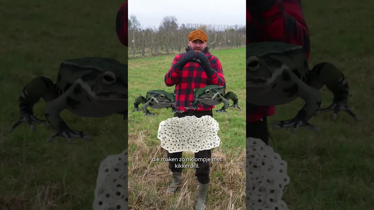 Op zoek naar kikkerdril! 🐸 Tim zoekt naar kikkerdril in de buurt van zijn landje! #HetLandjeVanTim