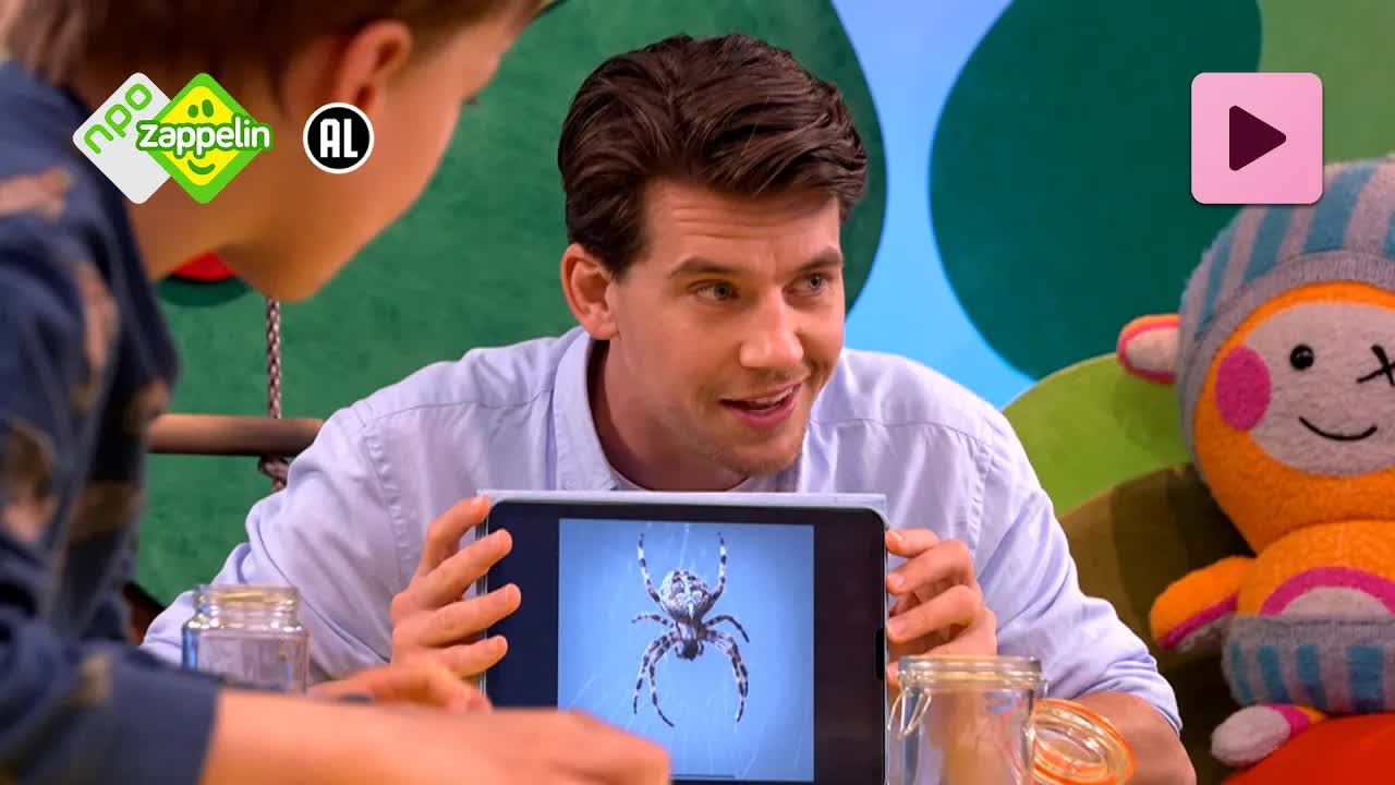 DURVEN 🕷️ | Serietitel | NPO Zappelin