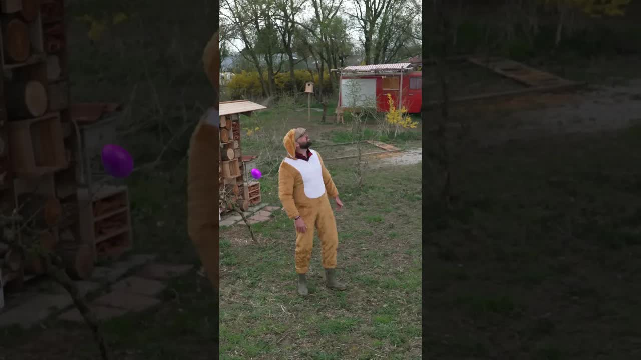 Vind jij wél het gouden ei? 🥚#hetlandjevantim  #npozappelin #zappelin