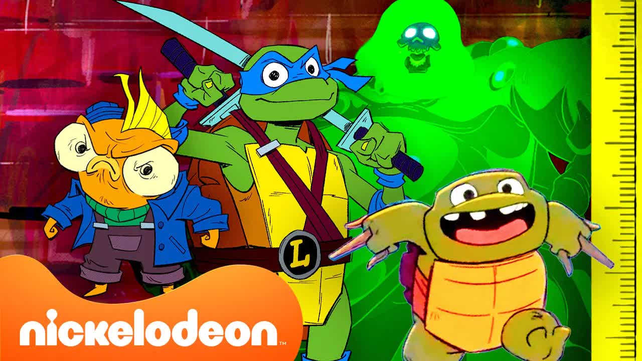 TMNT-personages gerankt op lengte! 📏 | Nickelodeon Nederlands