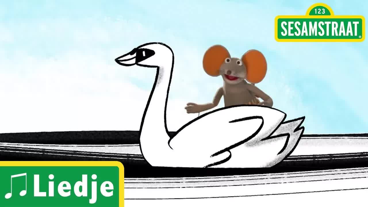 Witte Zwanen, Zwarte Zwanen - Kinderliedje - Sesamstraat