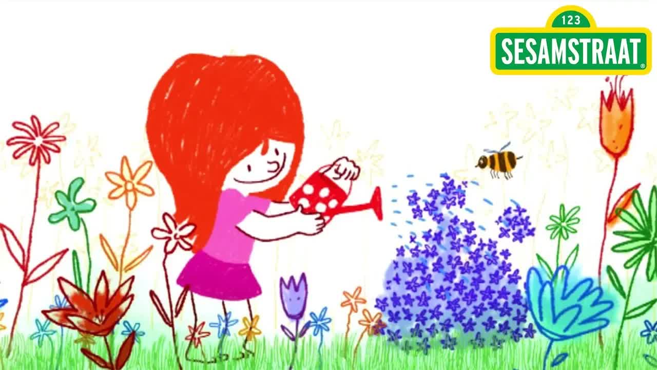 Bloemennaam - Sesamstraat