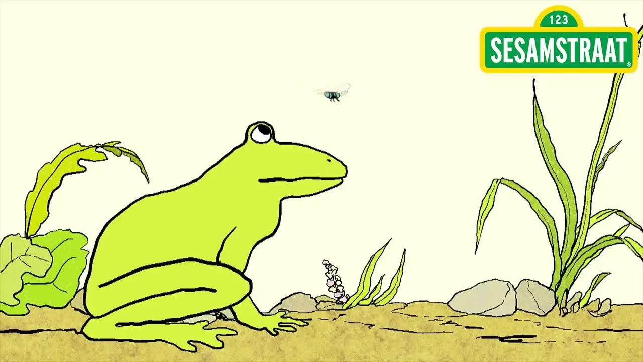 In de lucht - Sesamstraat