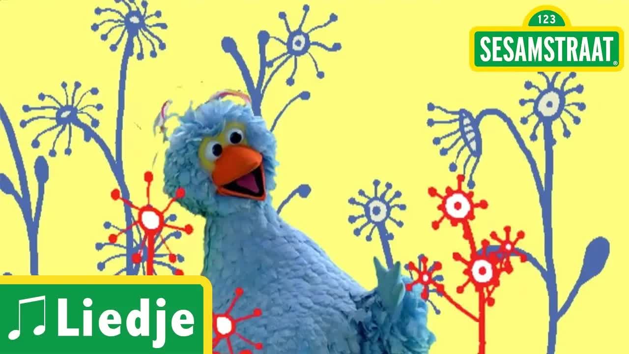 Klein klein kleutertje - Kinderliedje - Sesamstraat