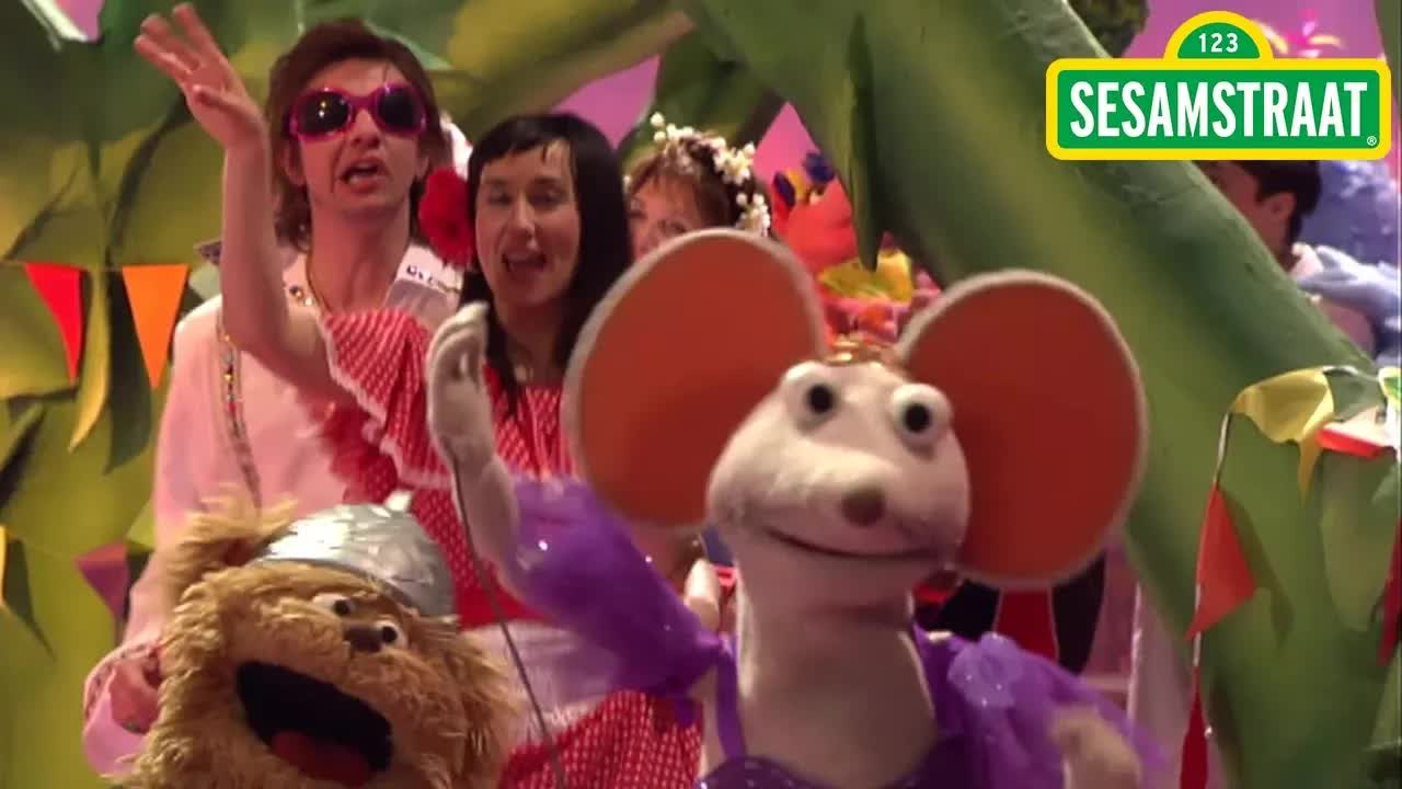 Verkleedfeest - Sesamstraat