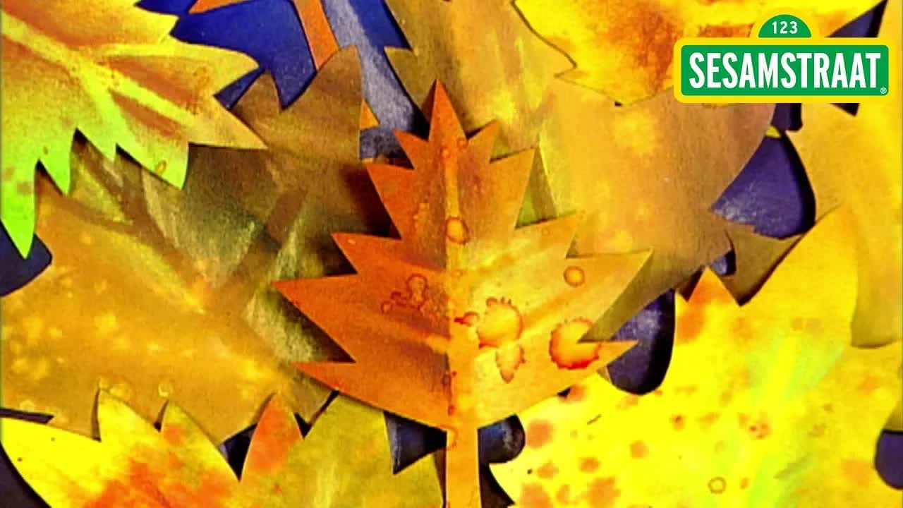 Blaadje - Sesamstraat