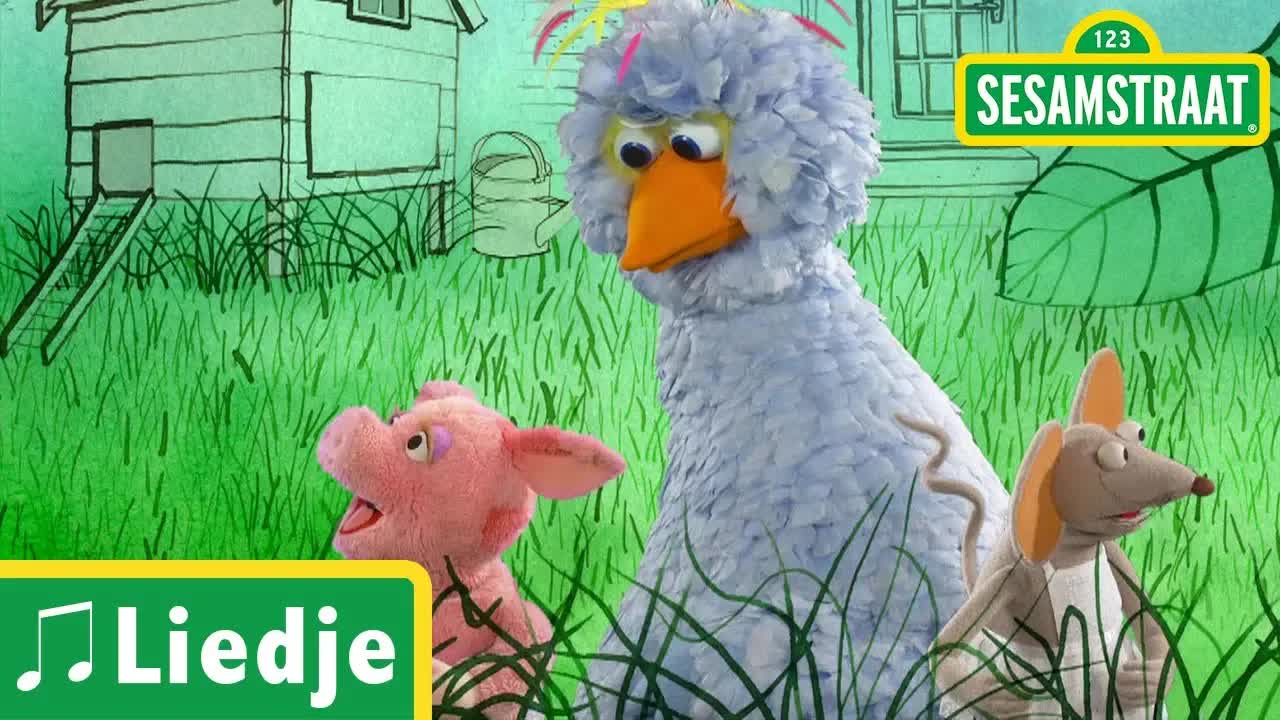 Groen is gras - Kinderliedje - Sesamstraat