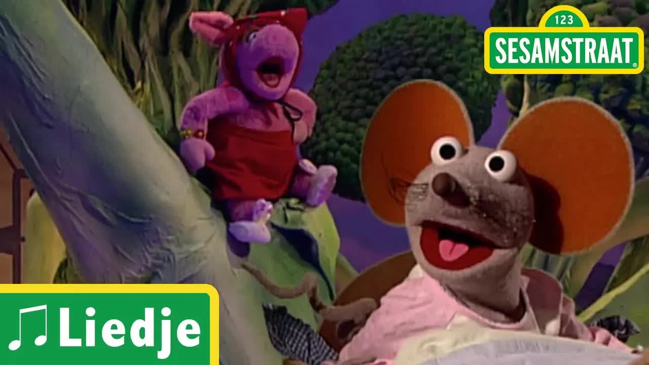 Er was eens - Liedje - Sesamstraat