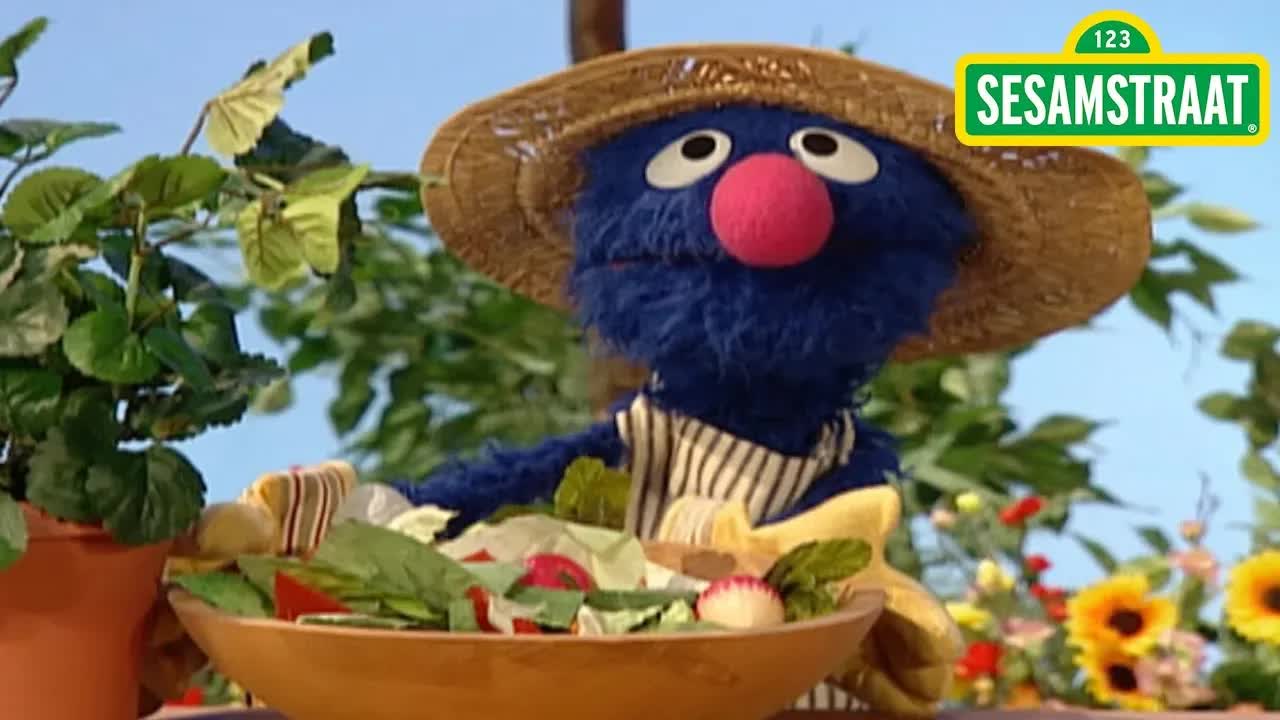 Wat eet een plant? - Grover - Sesamstraat