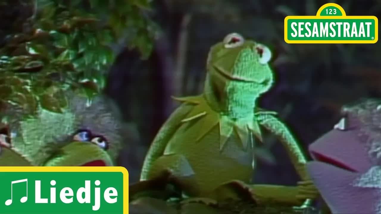 De discodans - Liedje - Kermit de Kikker - Sesamstraat