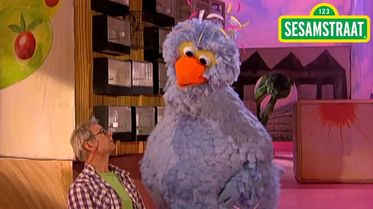 Brommeren - Pino & Frank - Sesamstraat