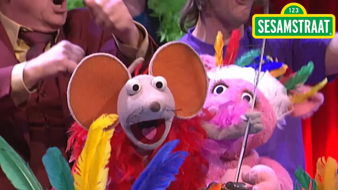 Wat is dit voor dier? - Quiz - Sesamstraat