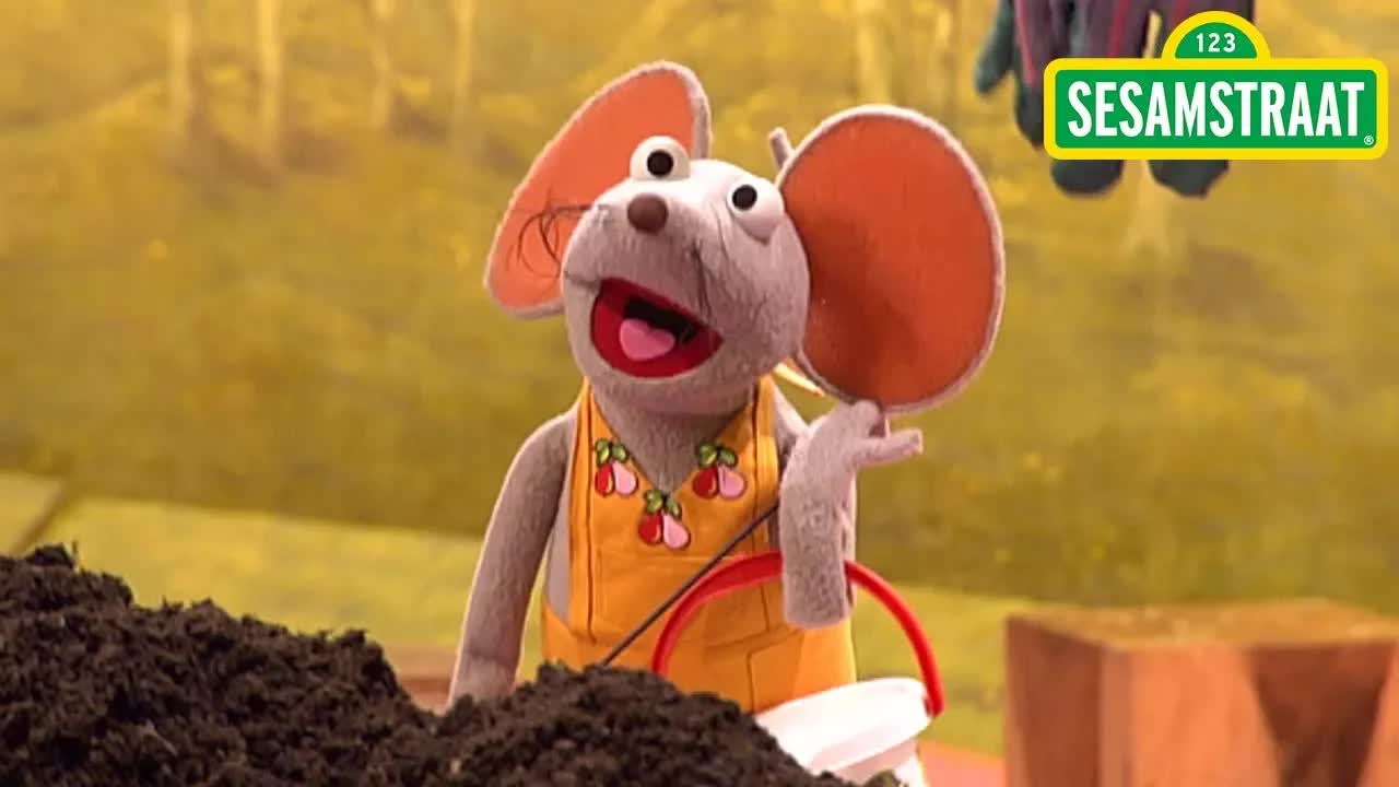 Heitje voor een karweitje  - Sesamstraat