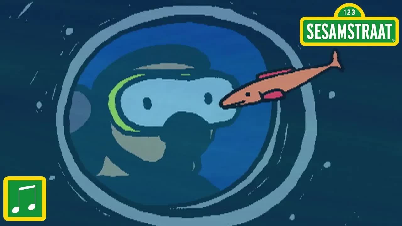 Later word ik duiker - Liedje - Sesamstraat