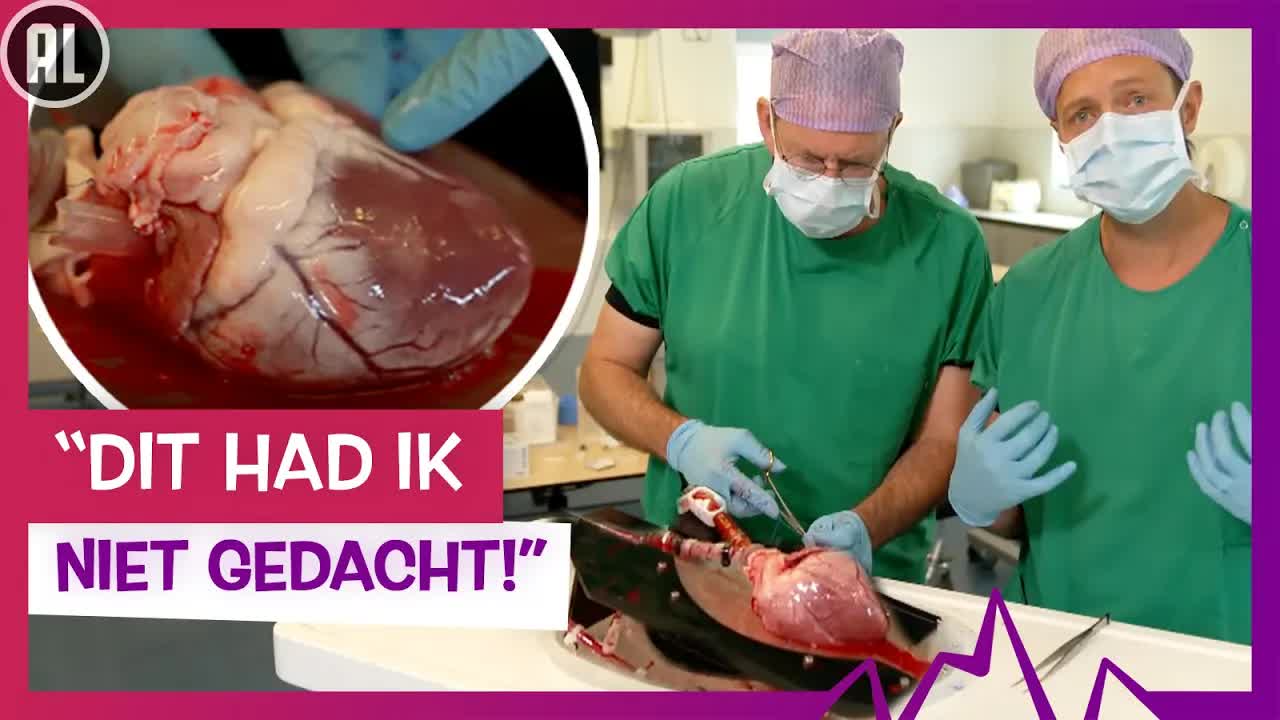 DONORHART WEER LATEN KLOPPEN | TOPDOKS