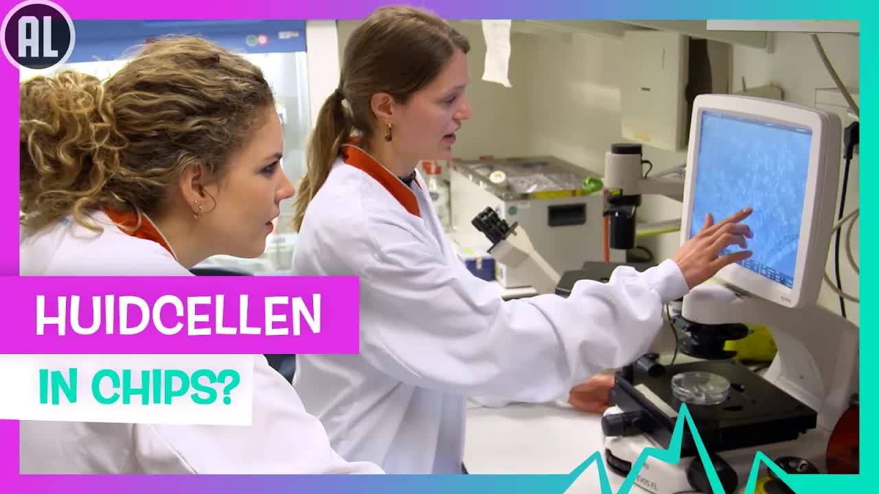 MINI ORGAANTJES | TOPDOKS ONDERZOEK