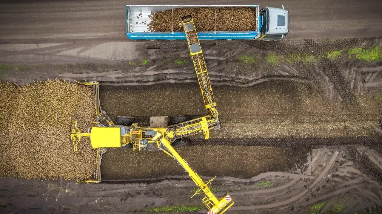 Ropa Maus 6 Loonbedrijf Ellen uit Klazienaveen aan het suikerbieten laden